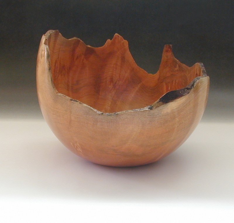 naturalegedmapleburl2.jpg